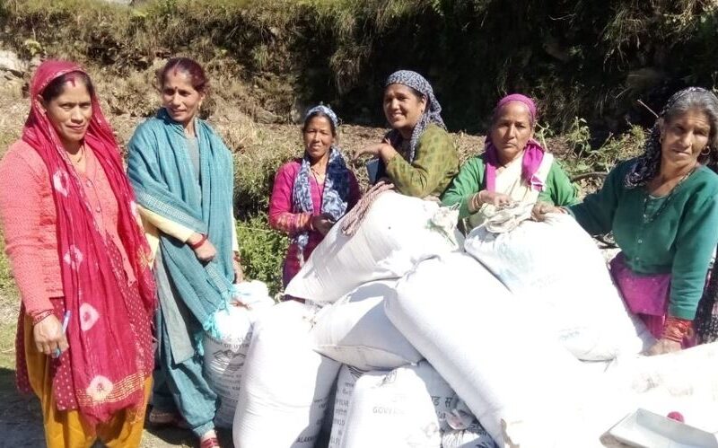 रुद्रप्रयाग: आजीविका समूह द्वारा तीनों विकास खंडों में 68 लाख 61 हजार से अधिक मंडुवे का किया गया व्यवसाय…