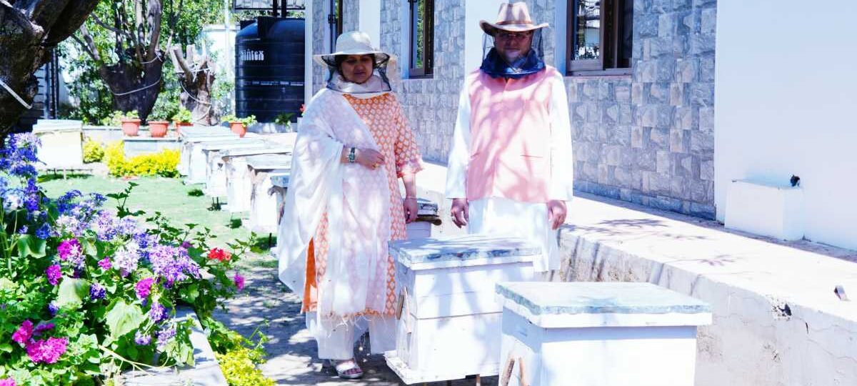 मुख्यमंत्री आवास परिसर में शहद निष्कासन का कार्य किया गया, सीएम ने किया निरीक्षण…