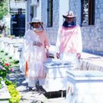 मुख्यमंत्री आवास परिसर में शहद निष्कासन का कार्य किया गया, सीएम ने किया निरीक्षण…