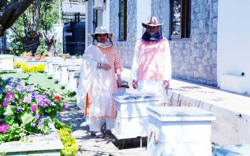 मुख्यमंत्री आवास परिसर में किया गया शहद निकालने का कार्य,सीएम ने किया निरीक्षण…