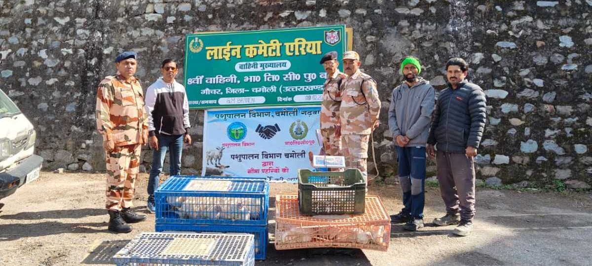 आईटीबीपी को भेड़, बकरी, मुर्गी और ट्राउट फिश की सप्लाई करते हैं किसान