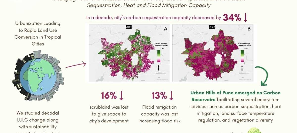 शहरी विकास की वजह से कार्बन को सोखने की क्षमता में 34 प्रतिशत की कमी