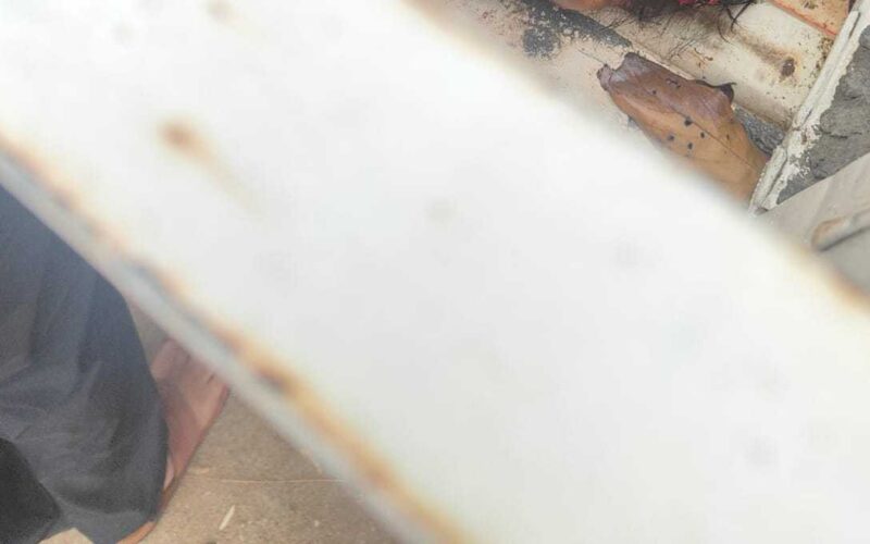 लंबगांव उत्तरकाशी मोटरमार्ग पर डिग्री कॉलेज के सामने बस और मोटरसाइकिल की जबरदस्त टक्कर