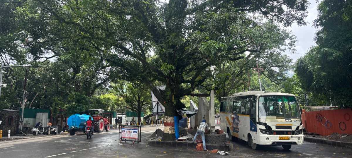 देहरादून: 11 अति व्यस्त जंक्शनों पर भी नवीन ट्रैफिक लाइट का कार्य भी हुआ पूर्णः जल्द होंगी समर्पित