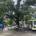 देहरादून: 11 अति व्यस्त जंक्शनों पर भी नवीन ट्रैफिक लाइट का कार्य भी हुआ पूर्णः जल्द होंगी समर्पित