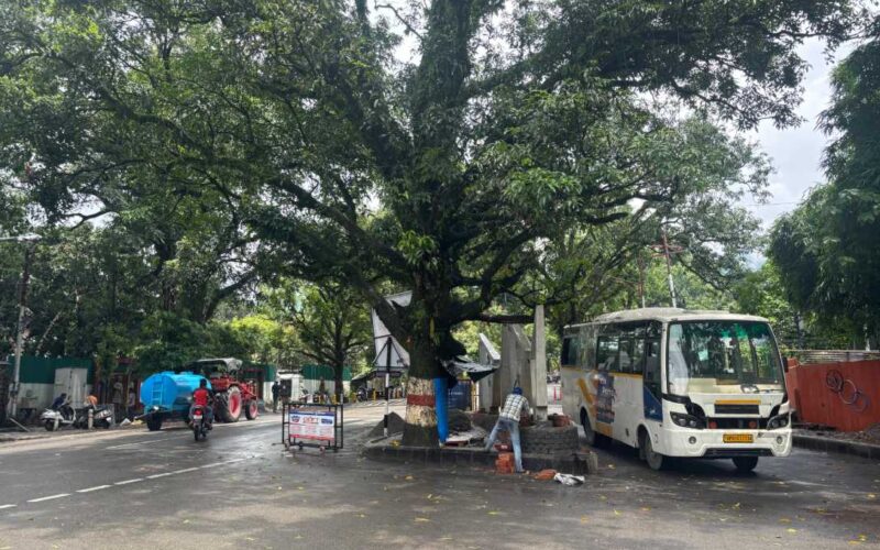 देहरादून: 11 अति व्यस्त जंक्शनों पर भी नवीन ट्रैफिक लाइट का कार्य भी हुआ पूर्णः जल्द होंगी समर्पित