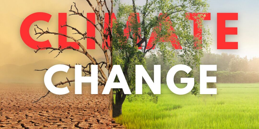 गर्मी अब सिर्फ़ मौसम नहीं, बीमारी बन गई है: लैंसेट रिपोर्ट की चेतावनी