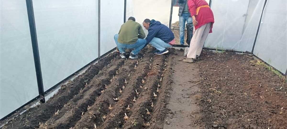 किसानों की अनुकूलन को मदद कम, सब्सिडी ज़्यादा