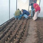 किसानों की अनुकूलन को मदद कम, सब्सिडी ज़्यादा