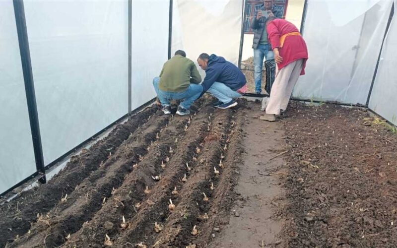 किसानों की अनुकूलन को मदद कम, सब्सिडी ज़्यादा