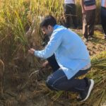 सुबह-सुबह किसान बन पहुंचे डीएम सविन, खेत में किसानों संग की धान की कटाई… 