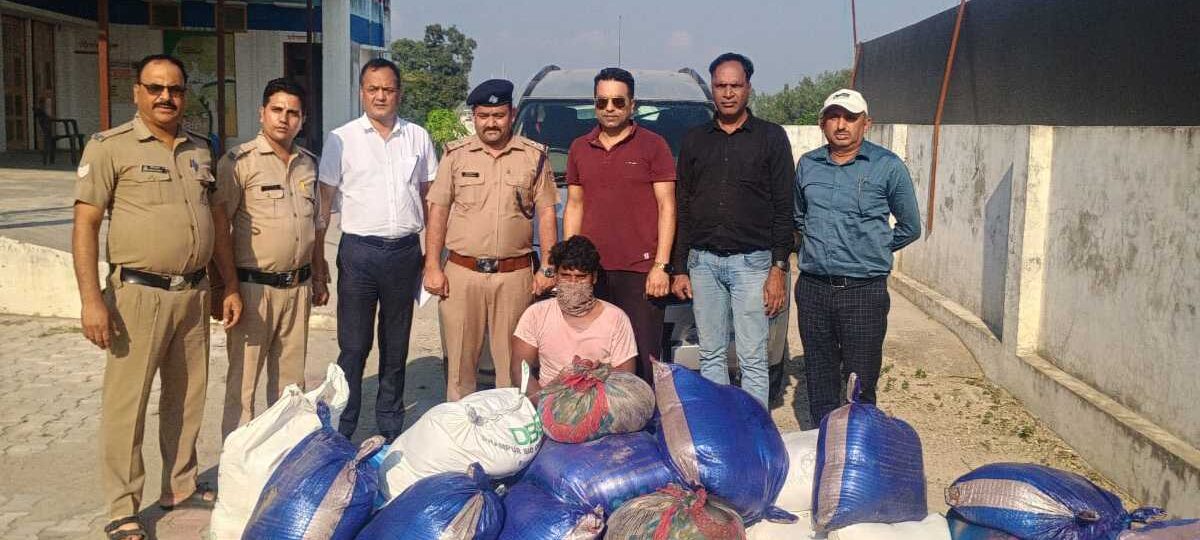 प्रदेशभर में मिलावटी खाद्य पदार्थों के खिलाफ अभियान लगातार जारी