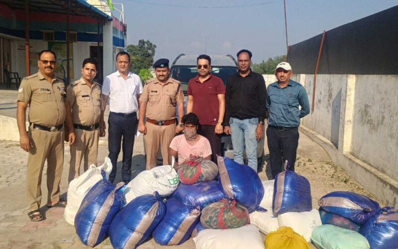 प्रदेशभर में मिलावटी खाद्य पदार्थों के खिलाफ अभियान लगातार जारी