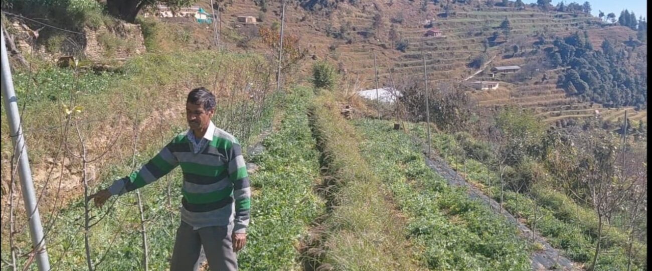 चोपडियालगांव के खुशीराम डबराल: पहाड़ की मिट्टी से आत्मनिर्भरता की मिसाल