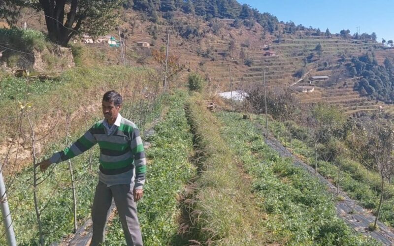 चोपडियालगांव के खुशीराम डबराल: पहाड़ की मिट्टी से आत्मनिर्भरता की मिसाल