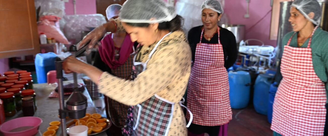 मक्कूमठ में महिला सशक्तिकरण की नई कहानी, ग्रोथ सेंटर से बदली आजीविका