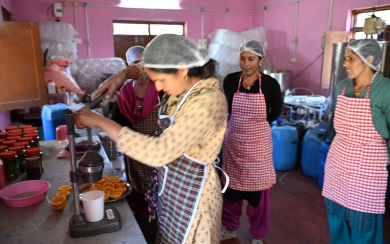 मक्कूमठ में महिला सशक्तिकरण की नई कहानी, ग्रोथ सेंटर से बदली आजीविका