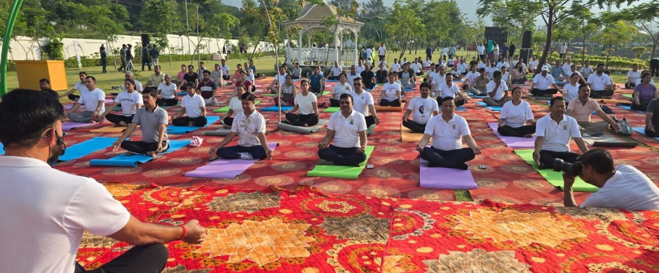सिटी फॉरेस्ट पार्क में योग दिवस पर उमड़ा जनसैलाब…