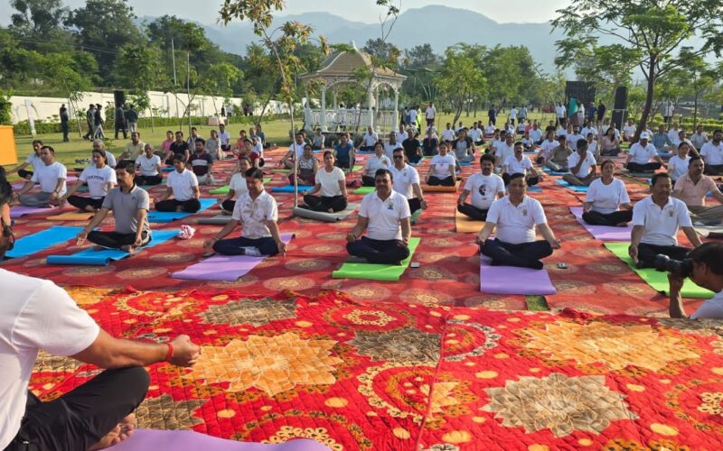 सिटी फॉरेस्ट पार्क में योग दिवस पर उमड़ा जनसैलाब…
